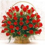 75 Red Roses Basket