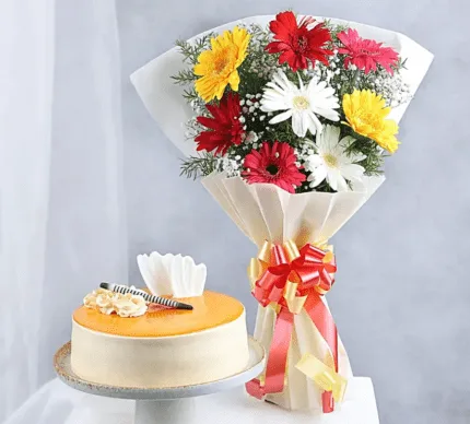 Butterscotch Cake Gerberas Combo